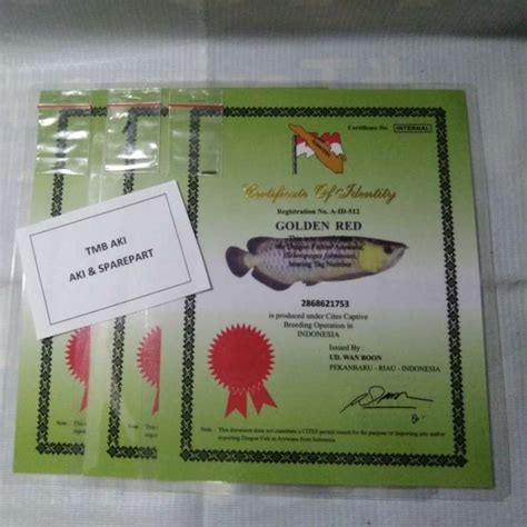 jual chips dan sertifikat arwana golden red murah gems untuk event 1 referensi top up hari ini image 3